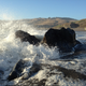 Illustration for article titled Holy Hell, the Pictures the iPhone 4S Can Take Are Insane